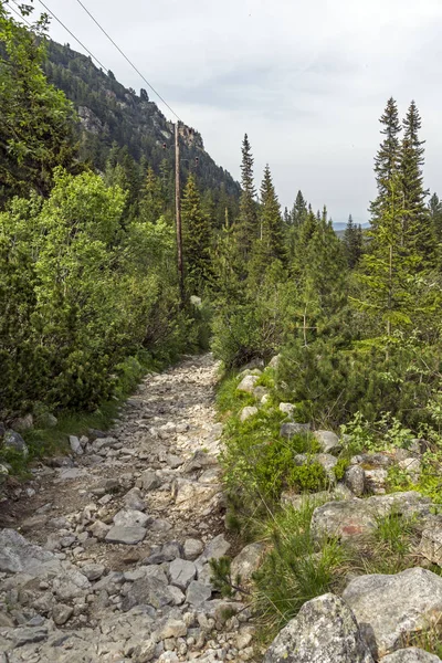 Krajina Turistické Stezky Pro Vrchol Malyovitsa Rila Mountain Bulharsko — Stock fotografie