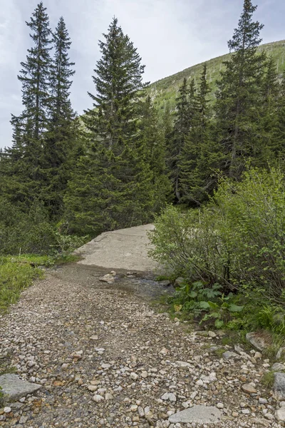 Paisaje Del Sendero Para Pico Malyovitsa Montaña Rila Bulgaria — Foto de Stock