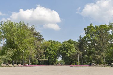 Silistre, Bulgaristan - 1 Mayıs 2008: Silistra şehir merkezinde çiçeklerle park, Bulgaristan