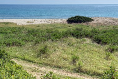 Sithonia yarımadasındaki Agios Georgios Plajı'nın yaz manzarası, Chalkidiki, Orta Makedonya, Yunanistan