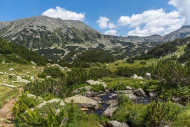 Banderishki chukar zirvesi manzarası, Pirin Dağı, Bulgaristan