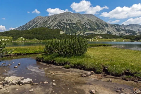 Amazing Summer Landscape Muratovo Hvoynato Lake Pirin Mountain Bulgaria — Stock Photo, Image