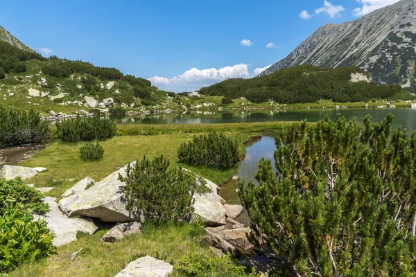 Erstaunliche Sommerlandschaft Des Muratovo Hvoynato Sees Pirin Gebirge Bulgarien — Stockfoto