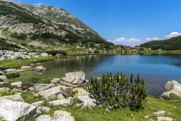 Paisagem Verão Incrível Muratovo Hvoynato Lago Montanha Pirin Bulgária — Fotografia de Stock