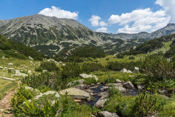 Paysage Pic Banderishki Chukar Pirin Mountain Bulgarie — Photo
