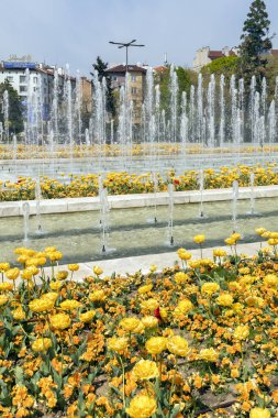 Sofya, Bulgaristan -21 Nisan 2019: Ulusal Kültür Sarayı önünde çiçek bahçesinin bahar manzarası, Bulgaristan