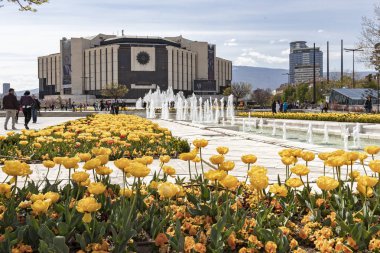 Sofya, Bulgaristan -21 Nisan 2019: Ulusal Kültür Sarayı önünde çiçek bahçesinin bahar manzarası, Bulgaristan