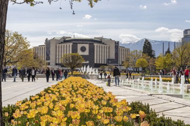 Sofya, Bulgaristan -21 Nisan 2019: Ulusal Kültür Sarayı önünde çiçek bahçesinin bahar manzarası, Bulgaristan