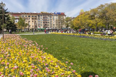 Sofya, Bulgaristan -21 Nisan 2019: Ulusal Kültür Sarayı önünde çiçek bahçesinin bahar manzarası, Bulgaristan