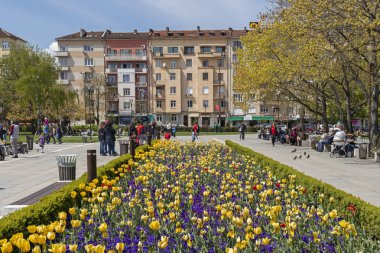 Sofya, Bulgaristan -21 Nisan 2019: Ulusal Kültür Sarayı önünde çiçek bahçesinin bahar manzarası, Bulgaristan
