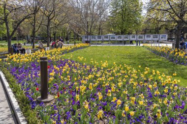 Sofya, Bulgaristan -21 Nisan 2019: Ulusal Kültür Sarayı önünde çiçek bahçesinin bahar manzarası, Bulgaristan