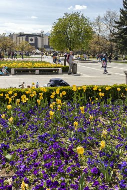 Sofya, Bulgaristan -21 Nisan 2019: Ulusal Kültür Sarayı önünde çiçek bahçesinin bahar manzarası, Bulgaristan