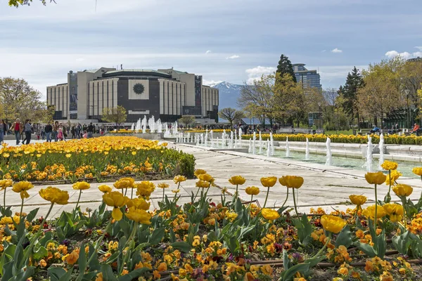 Sofia Bulgaria Abril 2019 Vista Primavera Del Jardín Flores Frente —  Fotos de Stock