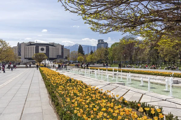 Sofia Bulgaria April 2019 Spring View Flower Garden Front National — Stock Photo, Image