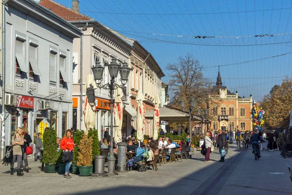 Novi Sad Vojvodina Serbia Noviembre 2018 Edificios Típicos Centro Ciudad — Foto de Stock