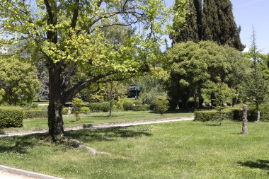 Sandanski, Bulgaristan - 29 Nisan 2019: Park St. Vrach'ın Sandanski kasabasında bahar manzarası, Bulgaristan