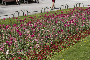 Sofya, Bulgaristan - 24 Nisan 2019: Sofya'daki Ulusal Tiyatro Ivan Vazov'un önündeki bahçe, Bulgaristan