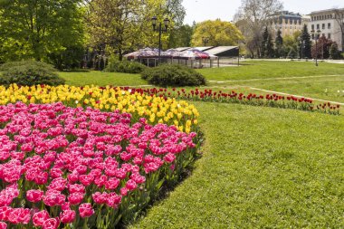 Sofya, Bulgaristan - 24 Nisan 2019: Sofya'daki Ulusal Tiyatro Ivan Vazov'un önündeki bahçe, Bulgaristan