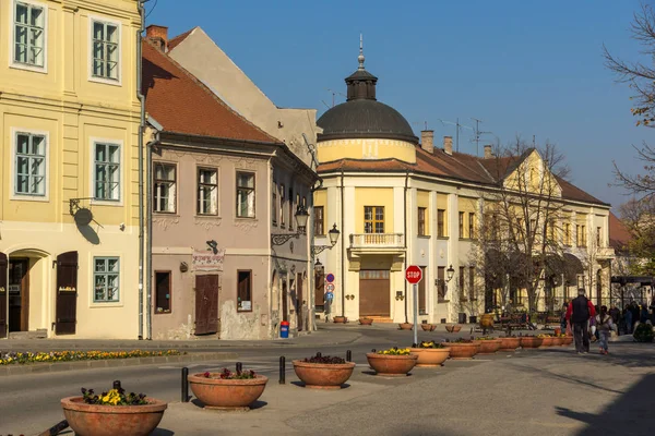 Sremski Karlovci Voyvodina Sırbistan Kasım 2018 Srijemski Karlovci Şehir Merkezinin — Stok fotoğraf