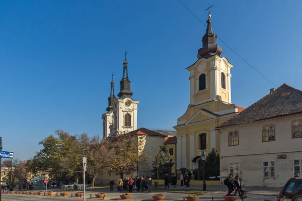 スレムスキ カルロフチ ヴォイヴォディナ セルビア 2018年11月11日 スリェムスキ カルロフチ ヴォイヴォディナ セルビアの町にある正教会聖ニコラス大聖堂 — ストック写真