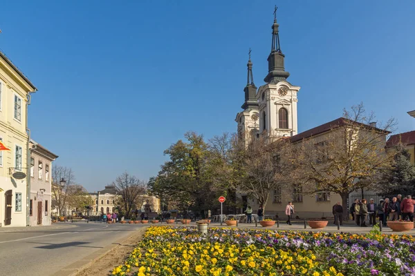 Sremski Karlovci Vojvodina Serbia Noviembre 2018 Iglesia Ortodoxa Catedral San — Foto de Stock
