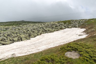 Cherni Vrah Peak yakınlarındaki Vitosha Dağı'nın yeşil tepeleri, Sofya Şehir Bölgesi, Bulgaristan