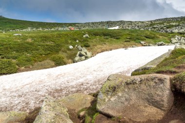 Cherni Vrah Peak yakınlarındaki Vitosha Dağı'nın yeşil tepeleri, Sofya Şehir Bölgesi, Bulgaristan