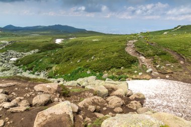 Cherni Vrah Peak yakınlarındaki Vitosha Dağı'nın yeşil tepeleri, Sofya Şehir Bölgesi, Bulgaristan
