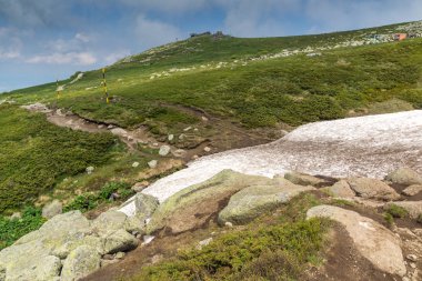 Cherni Vrah Peak yakınlarındaki Vitosha Dağı'nın yeşil tepeleri, Sofya Şehir Bölgesi, Bulgaristan