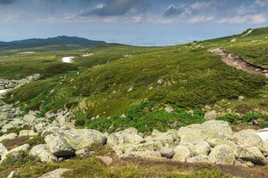 Cherni Vrah Peak yakınlarındaki Vitosha Dağı'nın yeşil tepeleri, Sofya Şehir Bölgesi, Bulgaristan