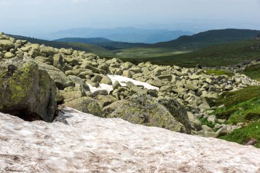 Cherni Vrah Peak yakınlarındaki Vitosha Dağı'nın yeşil tepeleri, Sofya Şehir Bölgesi, Bulgaristan