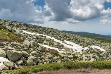 Cherni Vrah Peak yakınlarındaki Vitosha Dağı'nın yeşil tepeleri, Sofya Şehir Bölgesi, Bulgaristan