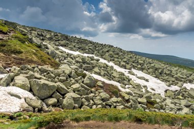 Cherni Vrah Peak yakınlarındaki Vitosha Dağı'nın yeşil tepeleri, Sofya Şehir Bölgesi, Bulgaristan