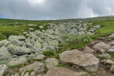 Cherni Vrah Peak yakınlarındaki Vitosha Dağı'nın yeşil tepeleri, Sofya Şehir Bölgesi, Bulgaristan