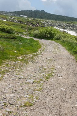 Cherni Vrah Peak yakınlarındaki Vitosha Dağı'nın yeşil tepeleri, Sofya Şehir Bölgesi, Bulgaristan