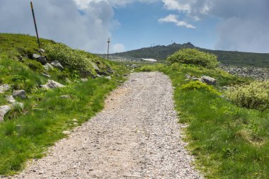 Cherni Vrah Peak yakınlarındaki Vitosha Dağı'nın yeşil tepeleri, Sofya Şehir Bölgesi, Bulgaristan
