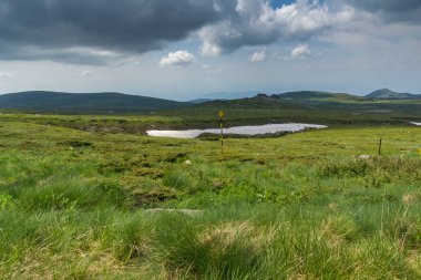 Cherni Vrah Peak yakınlarındaki Vitosha Dağı'nın yeşil tepeleri, Sofya Şehir Bölgesi, Bulgaristan
