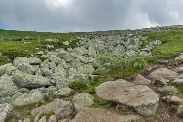 Gröna Kullarna Vitoshaberget Nära Cherni Vrah Peak Sofia City Region — Stockfoto