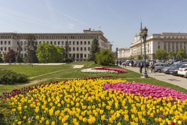 Sofya, Bulgaristan - 24 Nisan 2019: Sofya şehrinde Knyaz Alexander I Meydanı'nın panoramik manzarası, Bulgaristan