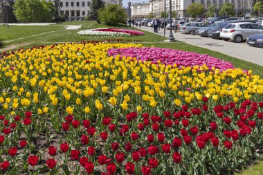 Sofya, Bulgaristan - 24 Nisan 2019: Sofya şehrinde Knyaz Alexander I Meydanı'nın panoramik manzarası, Bulgaristan