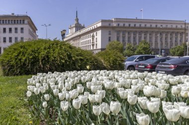 Sofya, Bulgaristan - 24 Nisan 2019: Sofya şehrinde Knyaz Alexander I Meydanı'nın panoramik manzarası, Bulgaristan