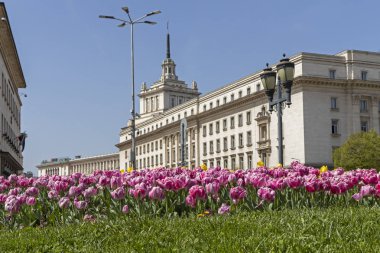 Sofya, Bulgaristan - 24 Nisan 2019: Sofya şehrinde Knyaz Alexander I Meydanı'nın panoramik manzarası, Bulgaristan