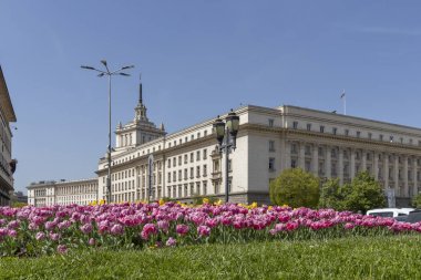 Sofya, Bulgaristan - 24 Nisan 2019: Sofya şehrinde Knyaz Alexander I Meydanı'nın panoramik manzarası, Bulgaristan