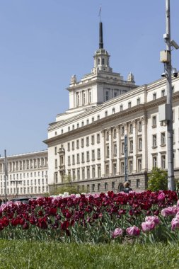 Sofya, Bulgaristan - 24 Nisan 2019: Sofya şehrinde Knyaz Alexander I Meydanı'nın panoramik manzarası, Bulgaristan