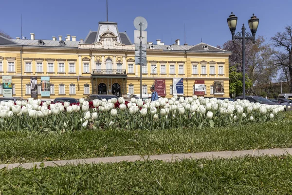 Sofya Bulgaristan Nisan 2019 Sofya Şehrinde Knyaz Alexander Meydanı Nın — Stok fotoğraf