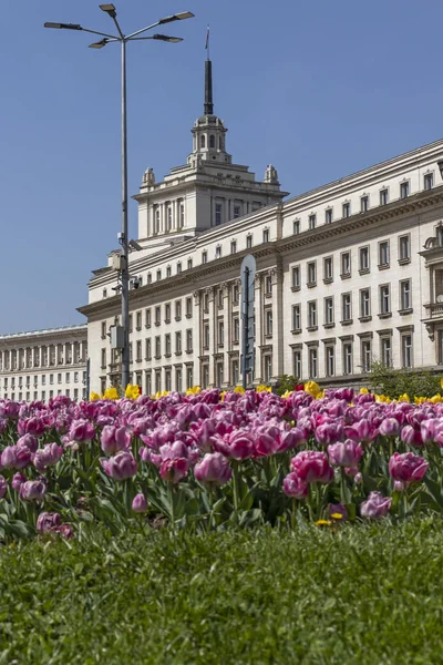 Sofya, Bulgaristan - 24 Nisan 2019: Sofya şehrinde Knyaz Alexander I Meydanı'nın panoramik manzarası, Bulgaristan