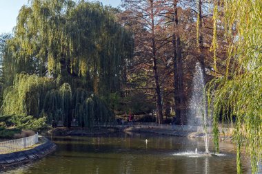 Novi Sad, Voyvodina, Sırbistan - 11 Kasım 2018: Novi Sad şehrinin merkezindeki Tuna Parkı, Voyvodina, Sırbistan