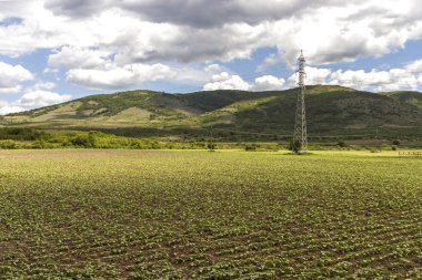 Perushtitsa kasabası yakınlarındaki Yukarı Trakya Ovası ile Kırsal Peyzaj, Plovdiv Bölgesi, Bulgaristan