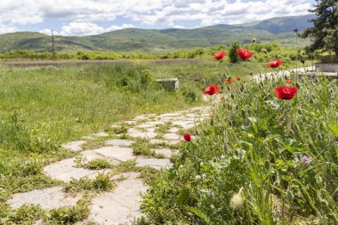 Perushtitsa kasabası yakınlarındaki Yukarı Trakya Ovası ile Kırsal Peyzaj, Plovdiv Bölgesi, Bulgaristan