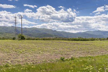 Perushtitsa kasabası yakınlarındaki Yukarı Trakya Ovası ile Kırsal Peyzaj, Plovdiv Bölgesi, Bulgaristan